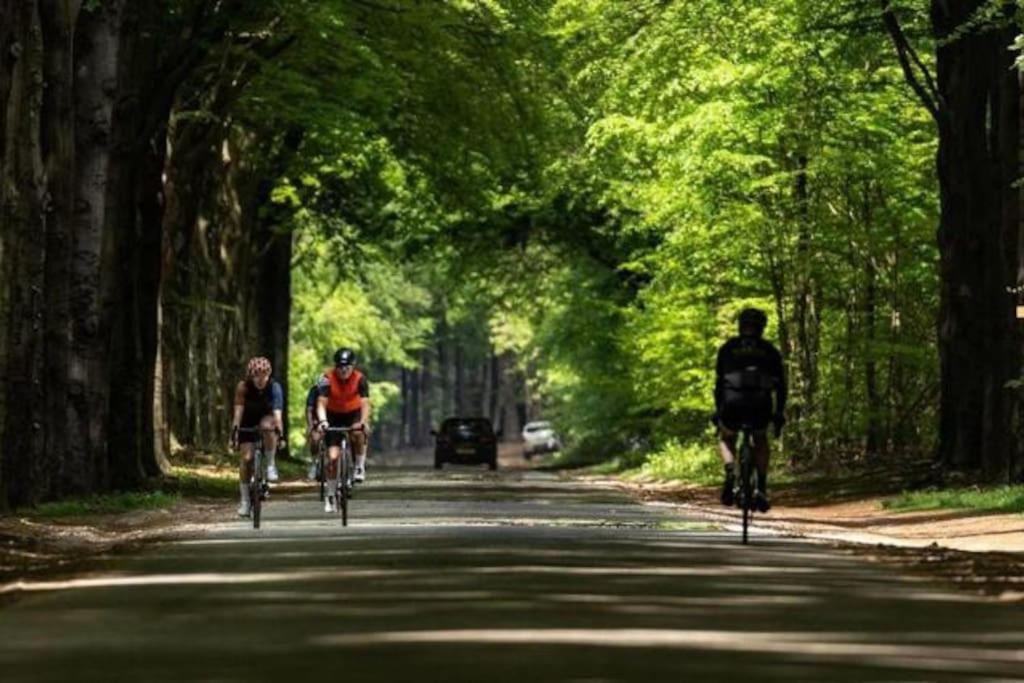 Chalet Voorzien Van Alle Gemakken In Een Bosrijke Omgeving Voorthuizen Zewnętrze zdjęcie